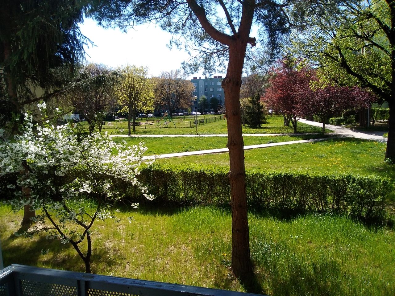Mieszkanie 3-pokojowe Świdnica. Zdjęcie 1