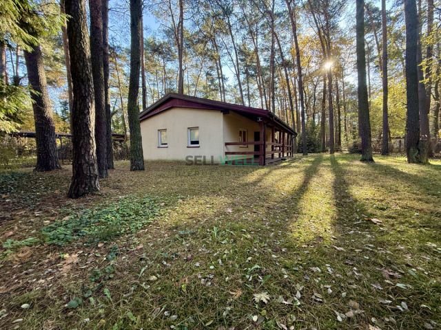 Działka budowlana Sokolniki-Las, ul. Mikołaja Kopernika. Zdjęcie 2