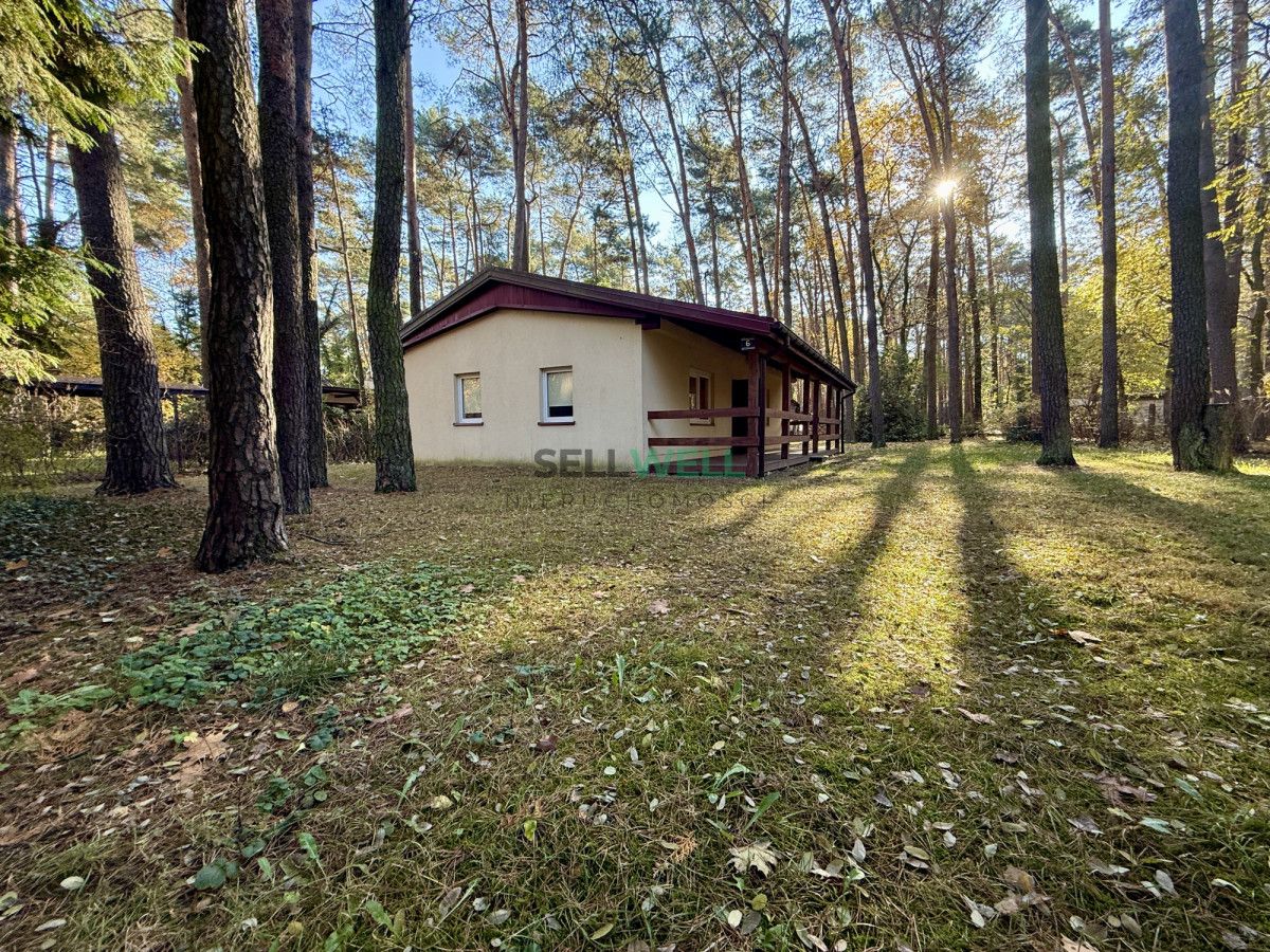 Działka budowlana Sokolniki-Las, ul. Mikołaja Kopernika. Zdjęcie 2