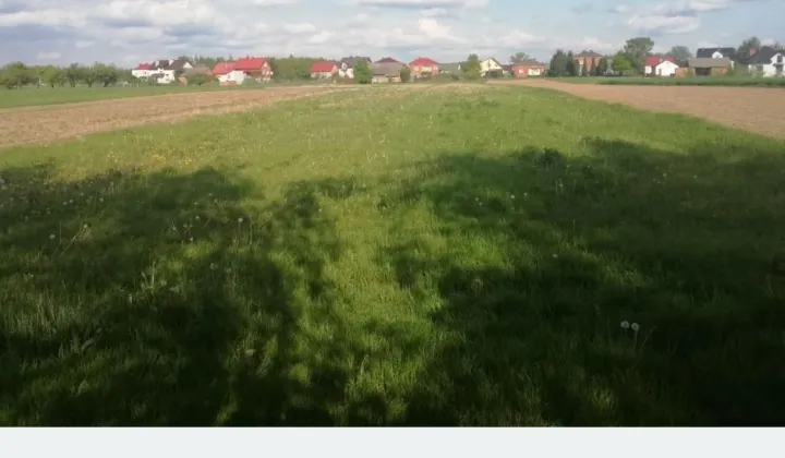 Działka budowlana Sokolniki Saskie Góry, Brak