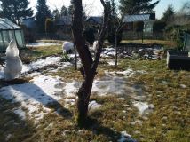 Działka rod Białystok Starosielce, ul. 42 Pułku Piechoty. Zdjęcie 4