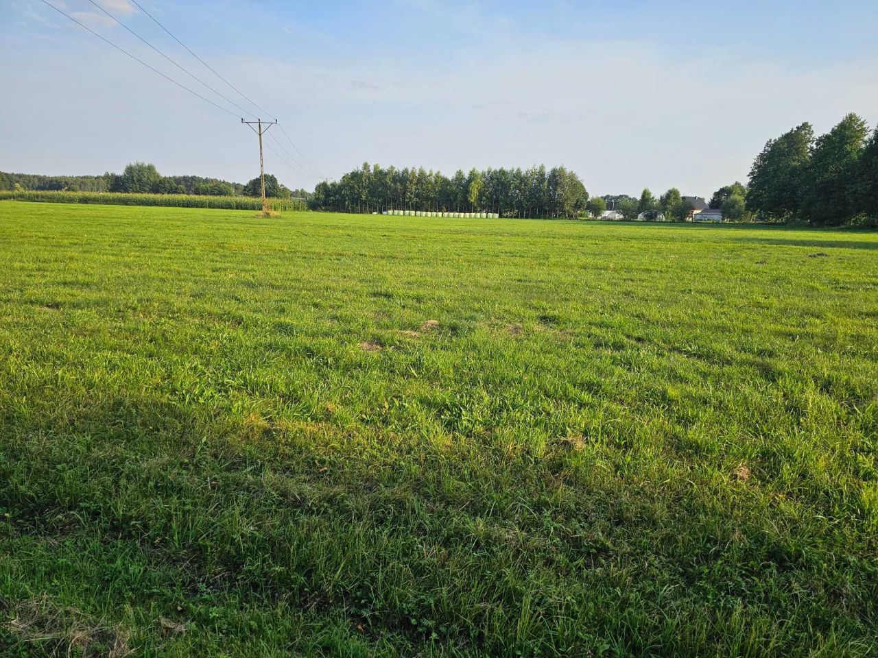 Działka budowlana Bukowiec. Zdjęcie 8