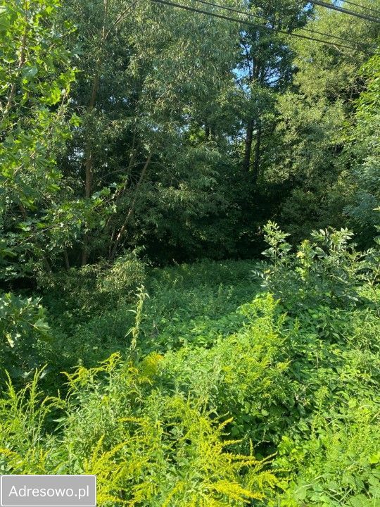 Działka inwestycyjna Truskolasy, ul. 1 Maja. Zdjęcie 3