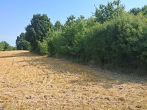 Działka inwestycyjna Radom. Zdjęcie 2