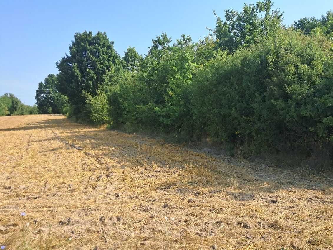 Działka inwestycyjna Radom. Zdjęcie 3