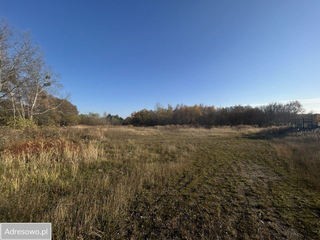 Działka inwestycyjna Twardogóra, ul. Władysława Jagiełły. Zdjęcie 1