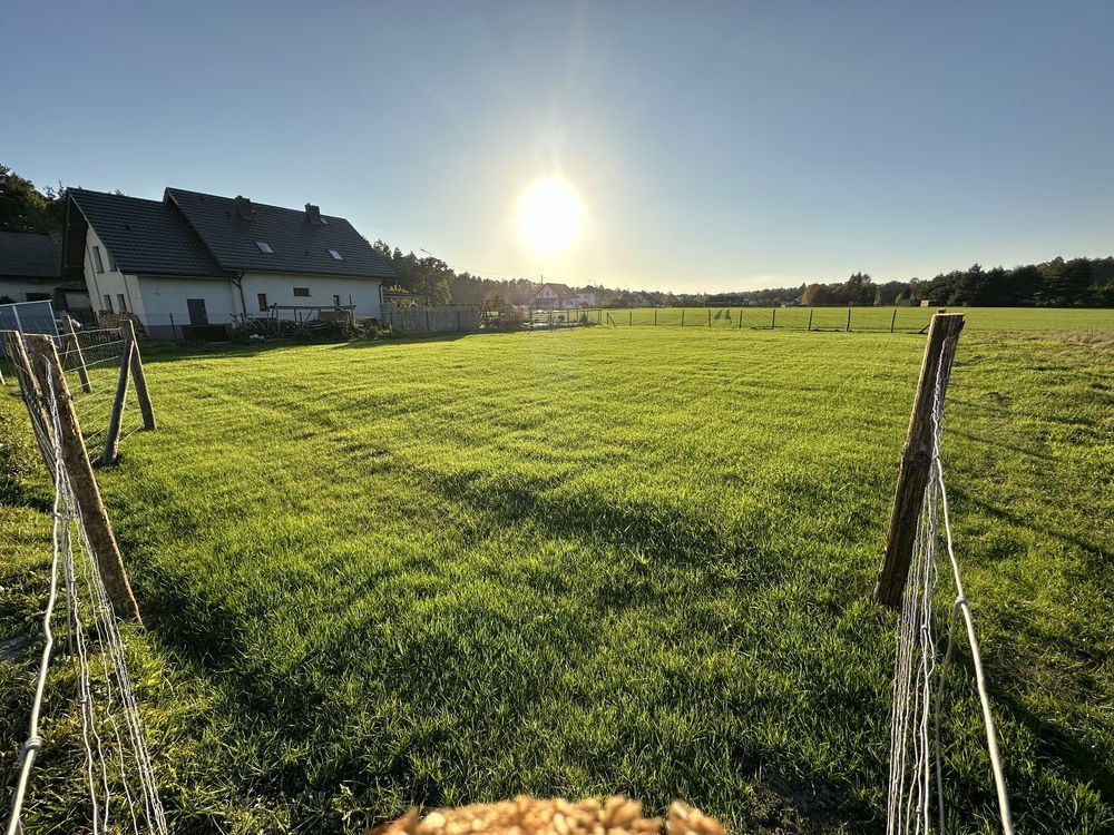 Działka budowlana Świerczyniec, ul. Wiklinowa. Zdjęcie 4