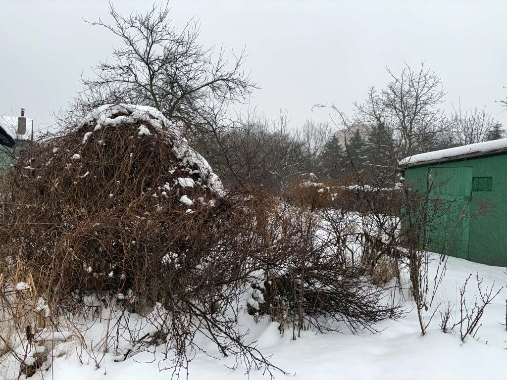 Działka rod Gdańsk Stogi. Zdjęcie 5