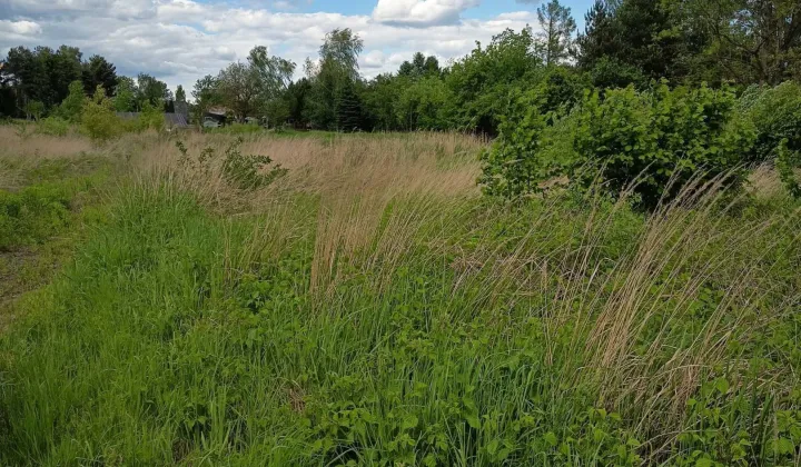 Działka budowlana Koziegłowy, ul. Warszawska