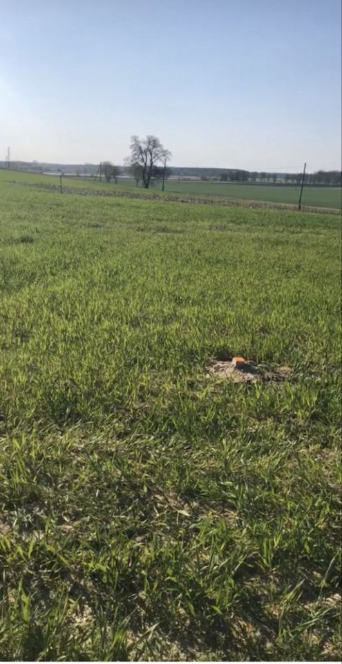 Działka budowlana Żabno, os. Zielone Wzgórze. Zdjęcie 3