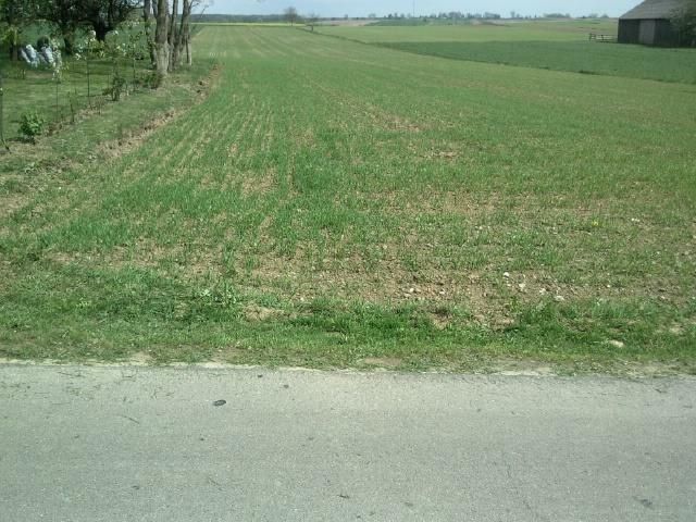 Działka budowlana Bogucin. Zdjęcie 4