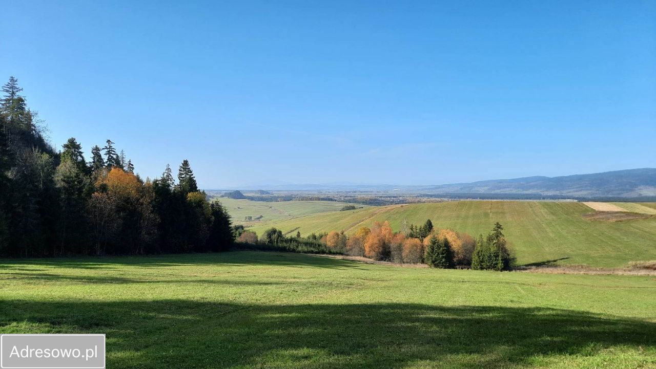 Działka rolna Dursztyn. Zdjęcie 5