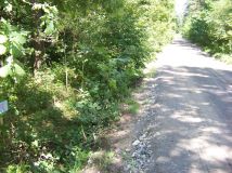 Działka leśna Horyniec-Zdrój. Zdjęcie 2