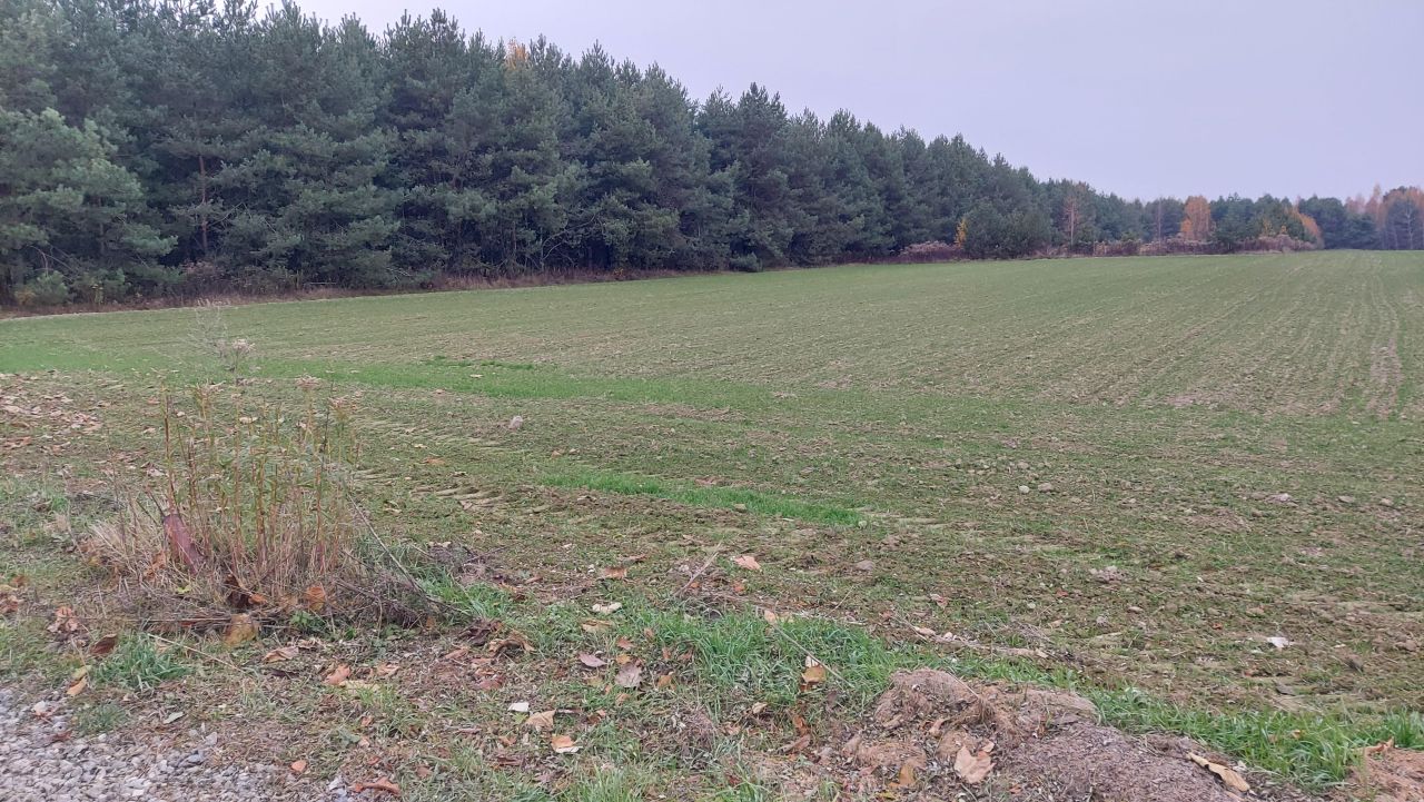 Działka budowlana Żabia Wola. Zdjęcie 5