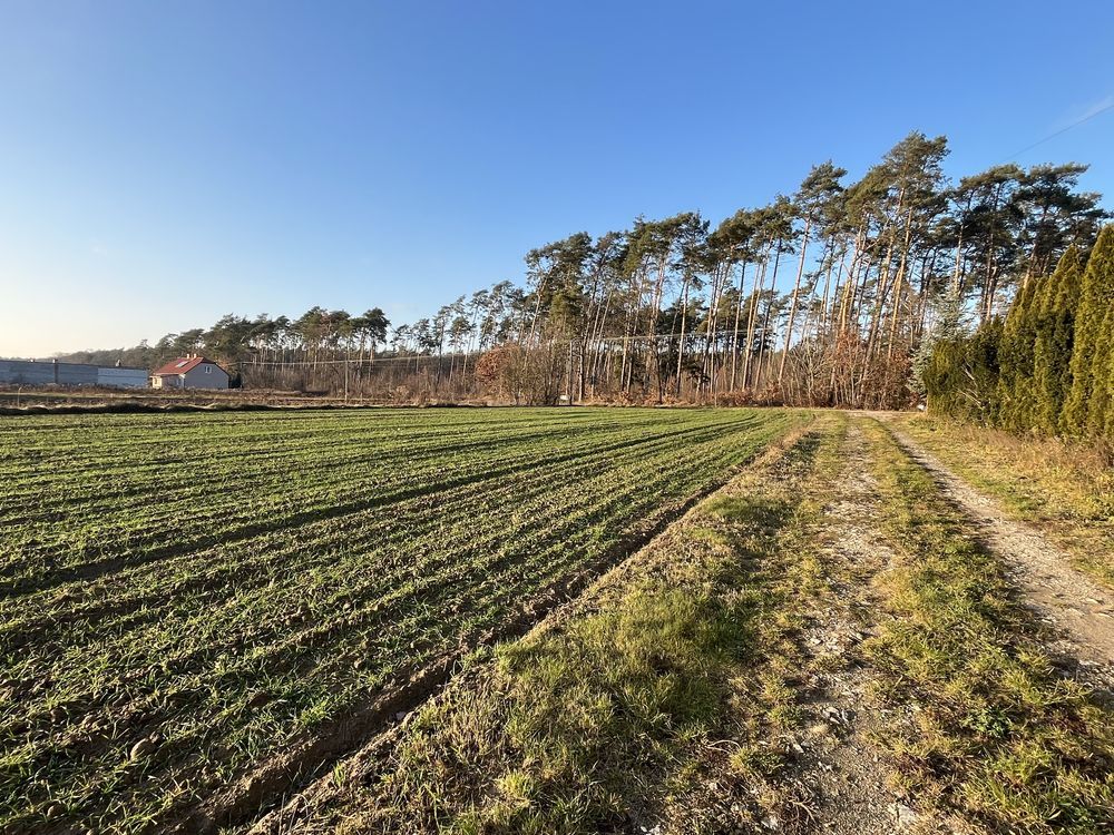 Działka budowlana Turzyn. Zdjęcie 6