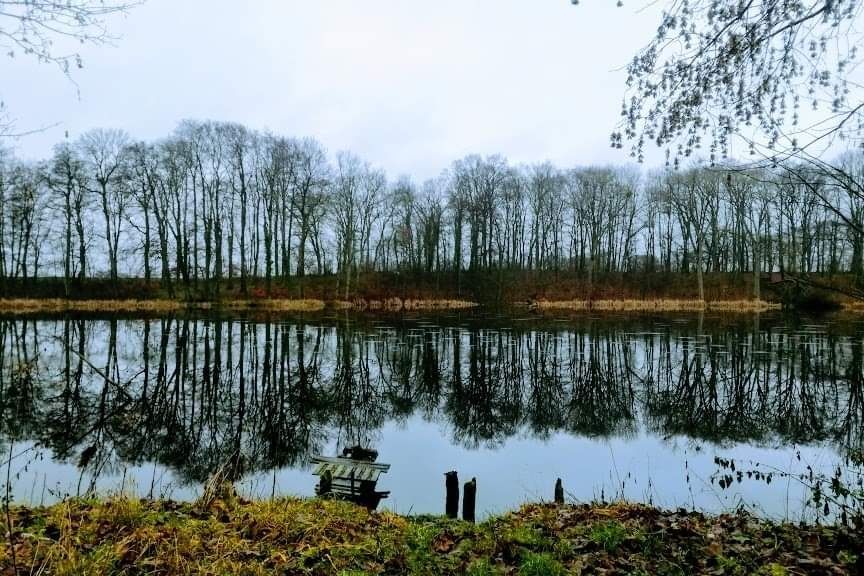 dom szeregowy Marcinkowice. Zdjęcie 7