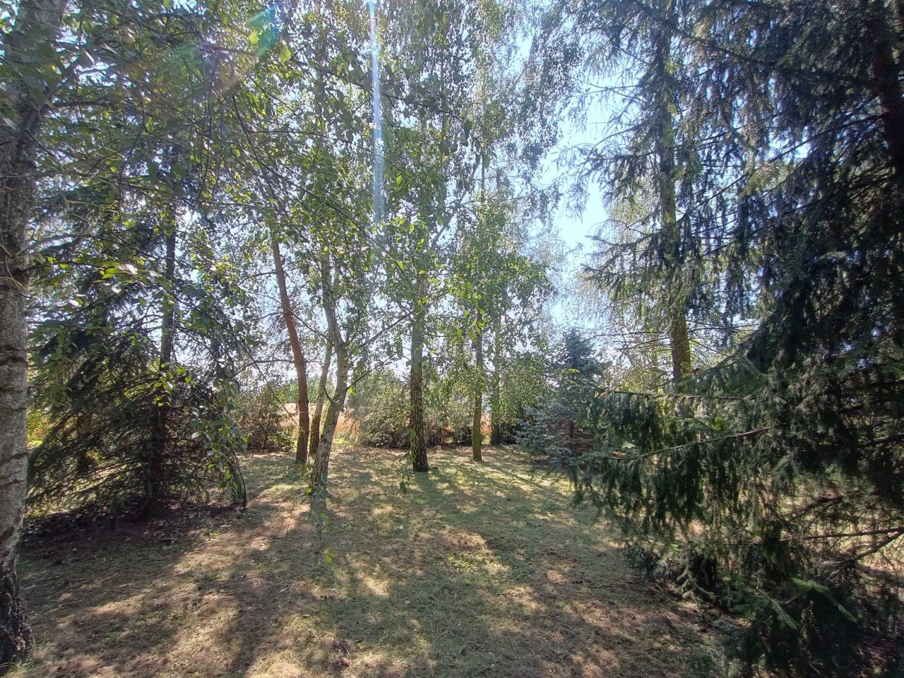 Działka rolno-budowlana Horodło, ul. Królowej Jadwigi. Zdjęcie 3