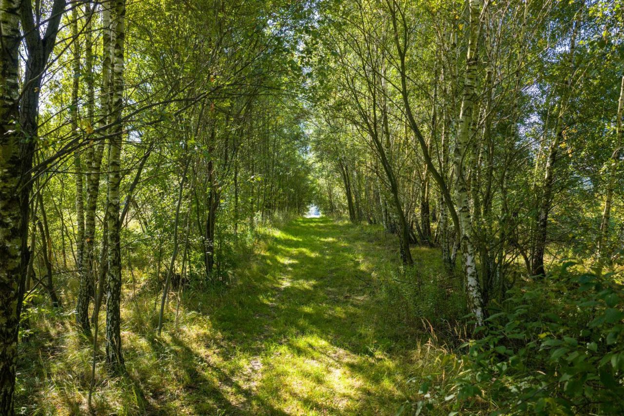 dom wolnostojący Polanka Hallera. Zdjęcie 7