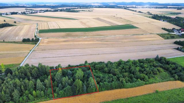 Działka budowlana Giebło. Zdjęcie 5
