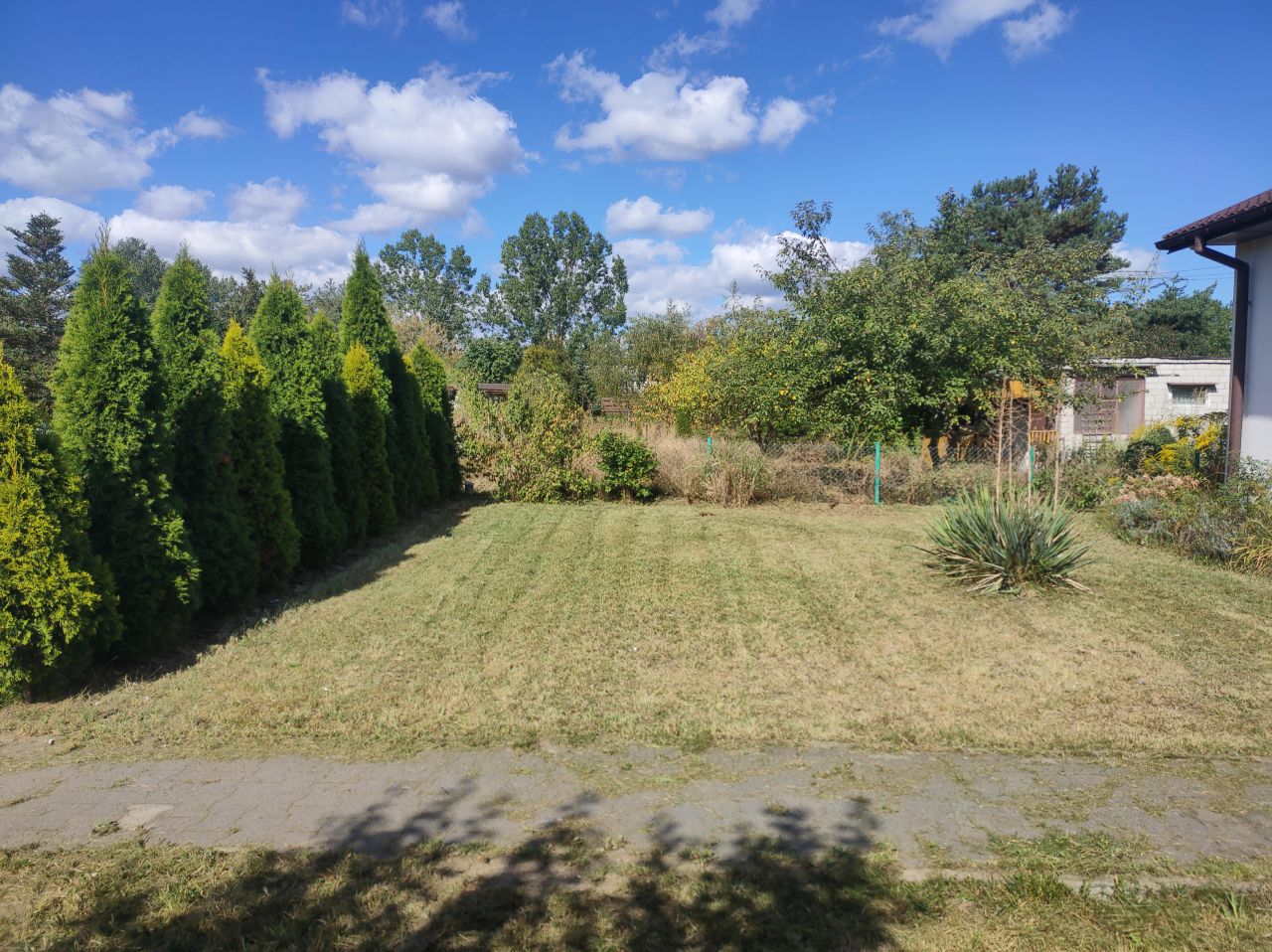 Działka rod Warszawa Zacisze, ul. Wolińska. Zdjęcie 4