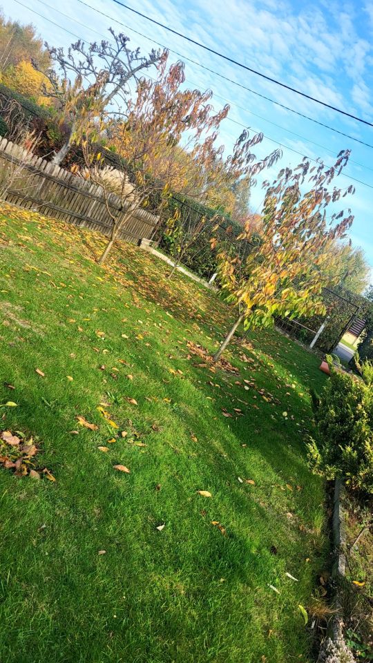 Działka rod Praszka. Zdjęcie 7