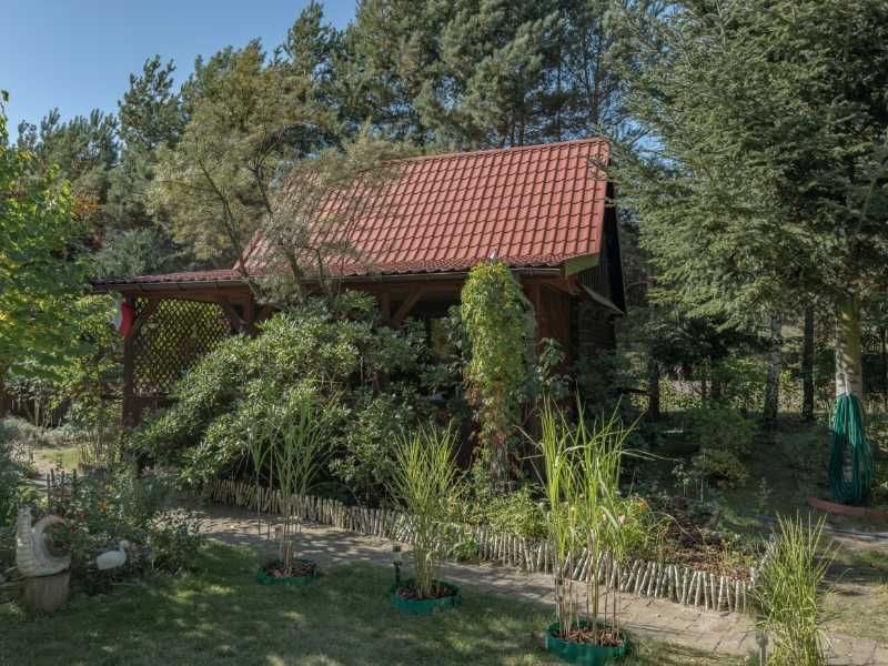 Działka rekreacyjna Stary Orzechów. Zdjęcie 4