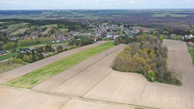 Działka rolna Pniewo. Zdjęcie 2