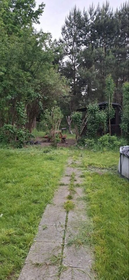 Działka rod Radom. Zdjęcie 4