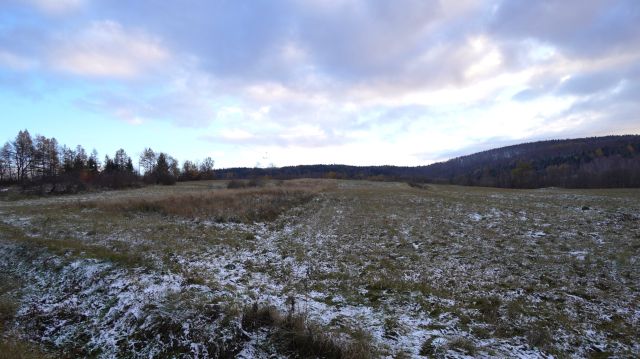 Działka rolna Wapienne. Zdjęcie 6