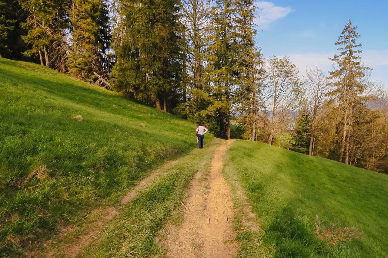 Działka inwestycyjna Zakopane Gubałówka, ul. Generała Kazimierza Sosnkowskiego. Zdjęcie 8