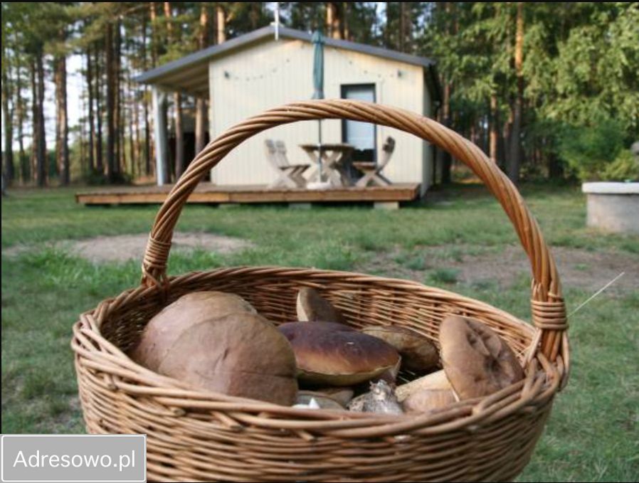 Działka budowlana Miedzno. Zdjęcie 9