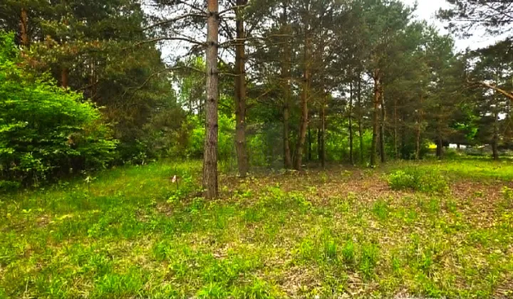 Działka budowlana Kady, ul. Kaprys