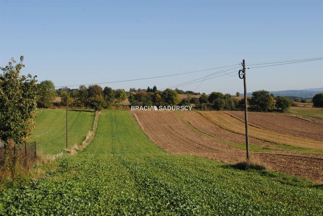 Działka rolno-budowlana Brzezie. Zdjęcie 5