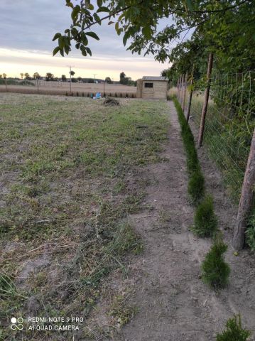 Działka budowlana Smętowo Graniczne, ul. Ogrodowa. Zdjęcie 1