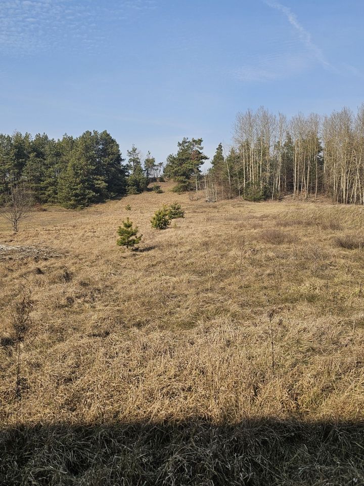 gospodarstwo Kownaty. Zdjęcie 7