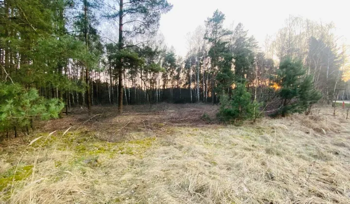 Działka budowlana Kotwasice