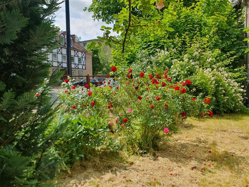 Działka budowlana Gdańsk Wrzeszcz, ul. Jaśkowa Dolina. Zdjęcie 14