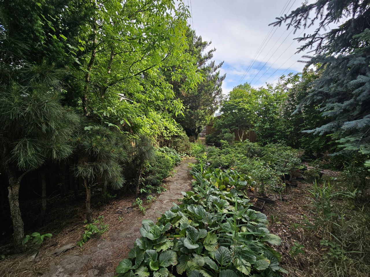 Działka inna Warszawa Bemowo, ul. Połczyńska. Zdjęcie 9