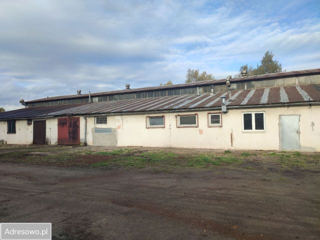 Hala/magazyn Polkowice. Zdjęcie 1