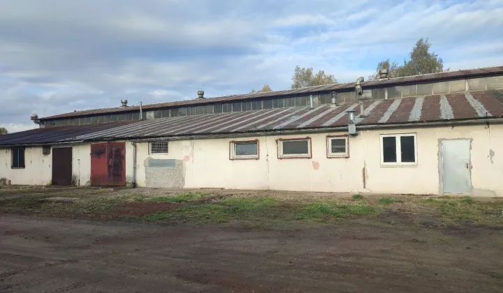 Hala/magazyn Polkowice