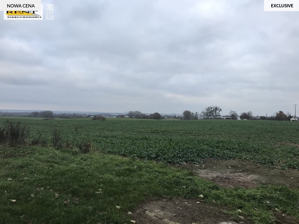 Działka rolna Karwowo. Zdjęcie 2