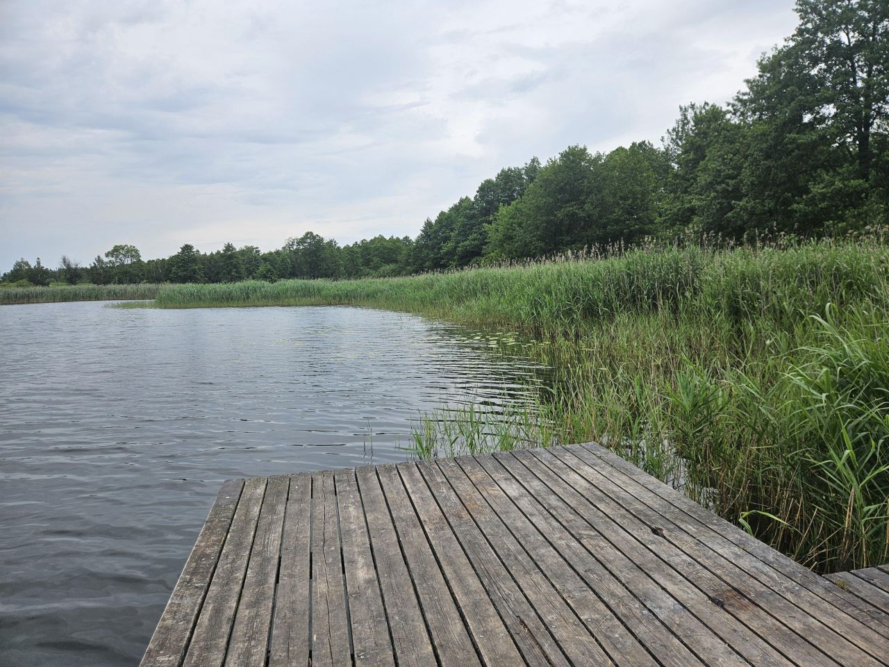 Działka budowlana Brzuze. Zdjęcie 11