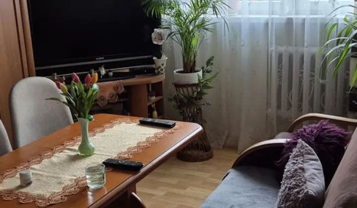 Mieszkanie 2-pokojowe Oława, ul. Bolesława Chrobrego