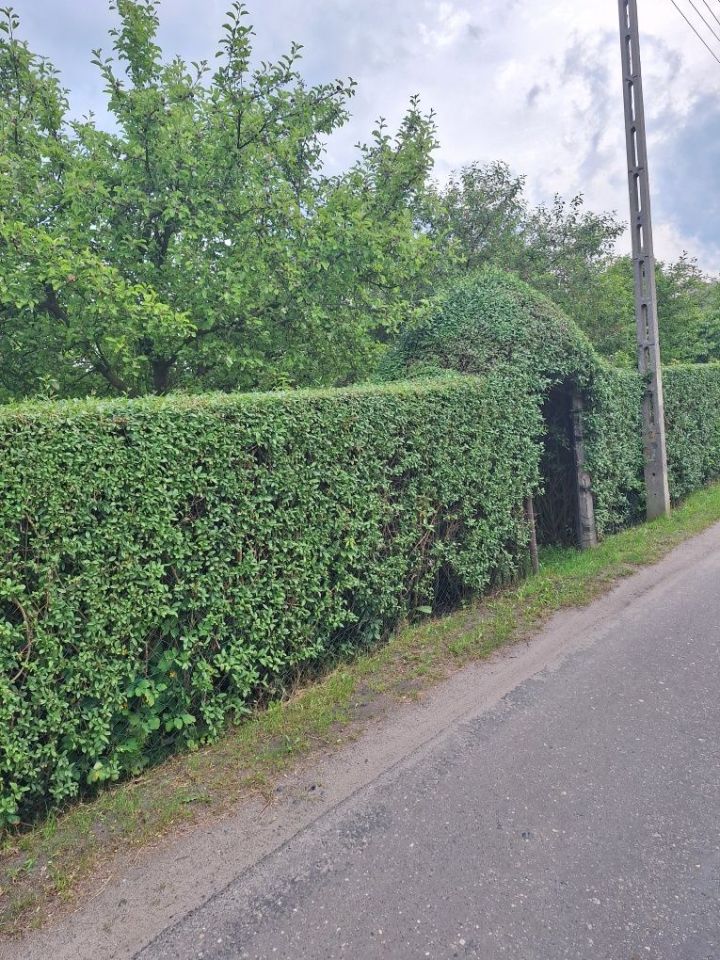 Działka rod Nowa Sól. Zdjęcie 3