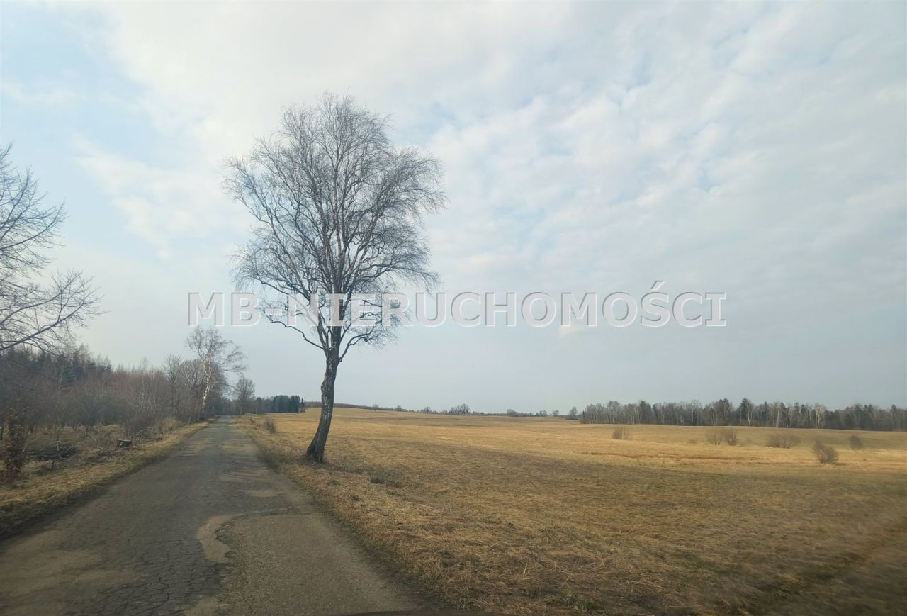 Działka rolna Sigajny. Zdjęcie 3