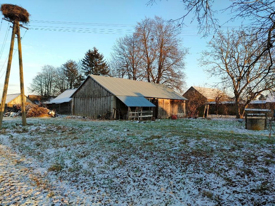 gospodarstwo Polubicze Wiejskie Pierwsze. Zdjęcie 3