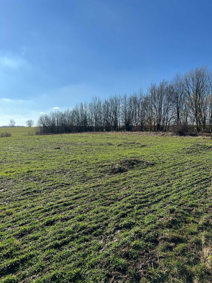 Działka budowlana Nowa Różanka. Zdjęcie 5