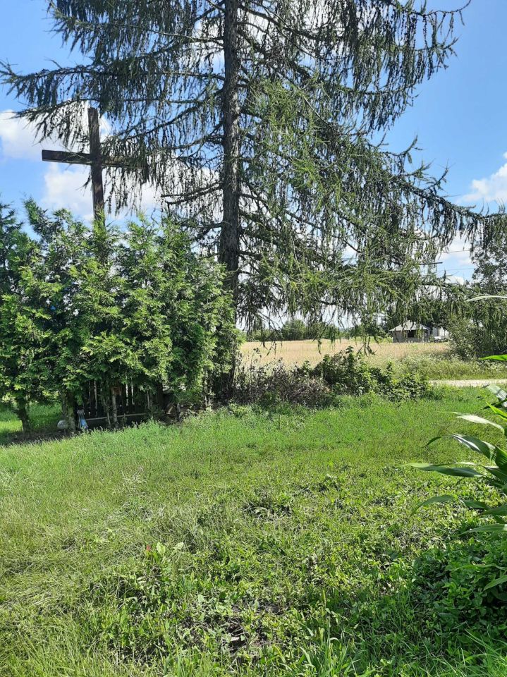 Działka budowlana Głodowo. Zdjęcie 7