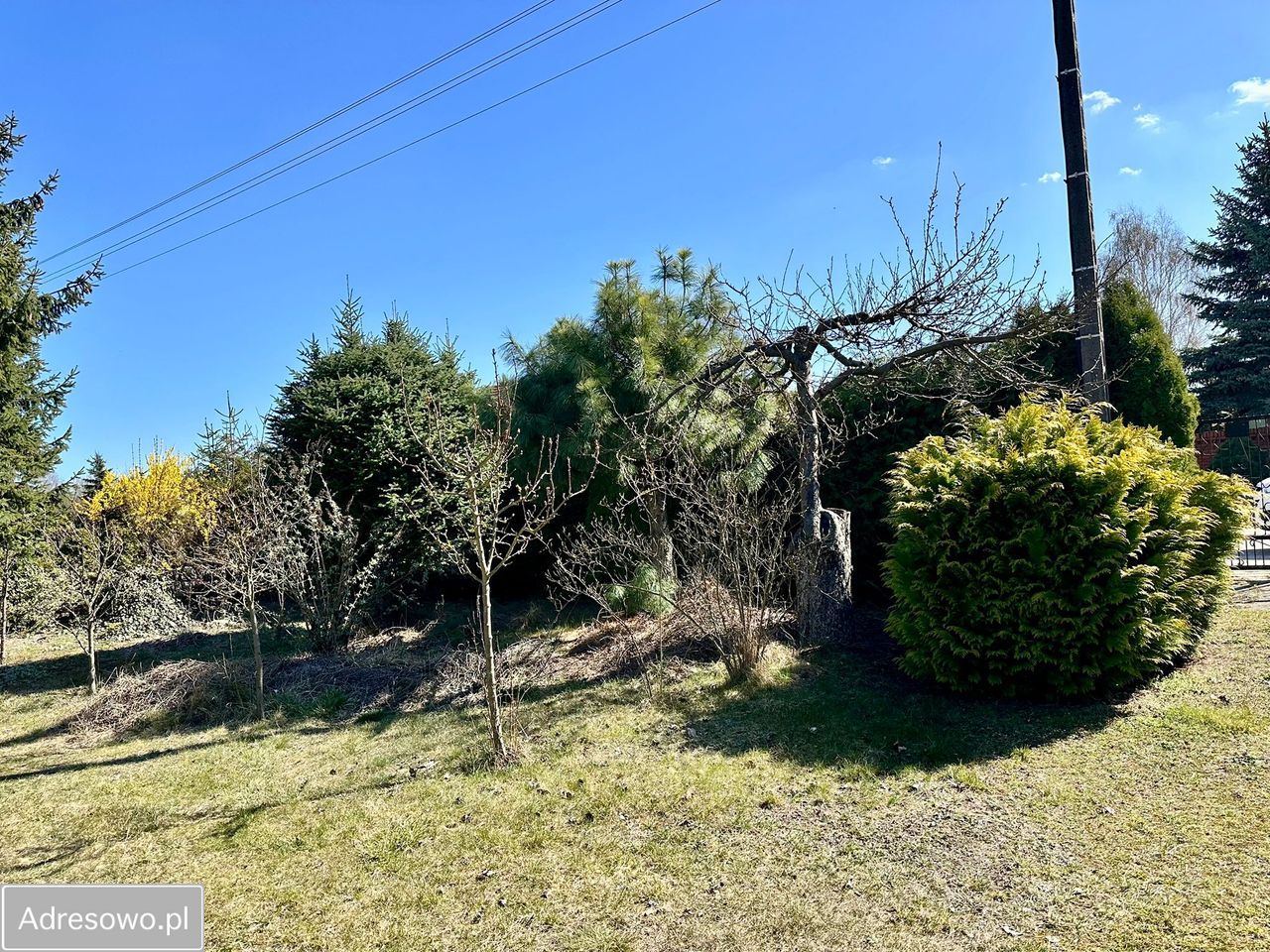 Działka budowlana Bolechówko, ul. Kręta. Zdjęcie 8