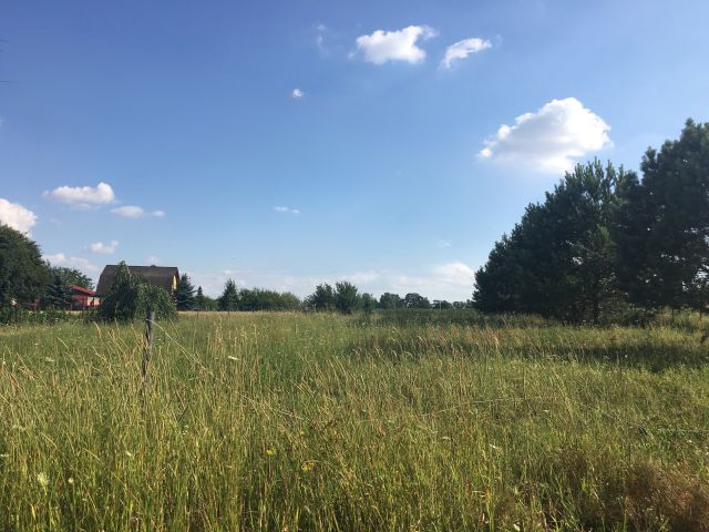 Działka budowlana Radawiec Duży. Zdjęcie 1